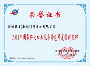 LDNS 软件外包服务的优势与应用前景