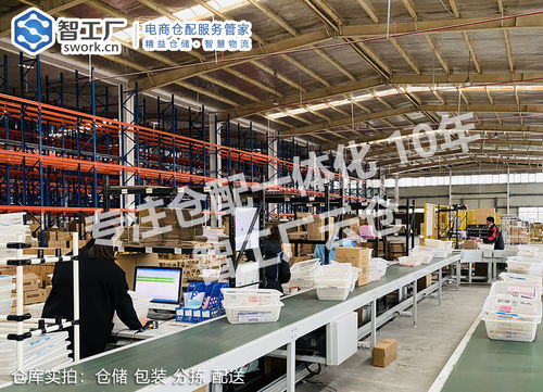 电商卖家须知 选择仓配外包与软件外包服务时最易踩的坑